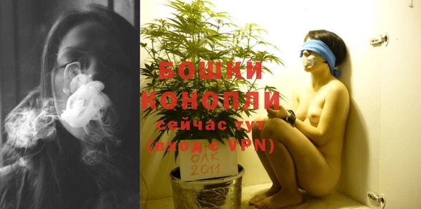 альфа пвп Нягань