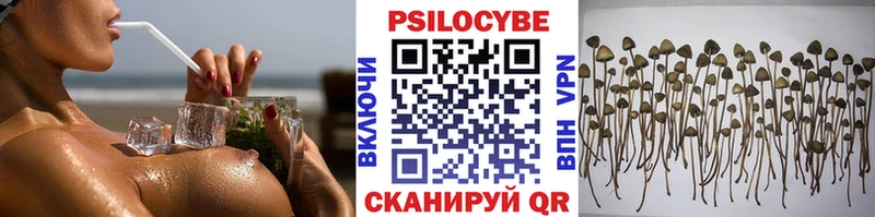 Купить закладки  Томск  Галлюциногенные грибы мицелий 